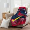 CARDINALS OFFICIAL MLB Dimensional Micro Raschel Throw Blanket; 46" x 60"